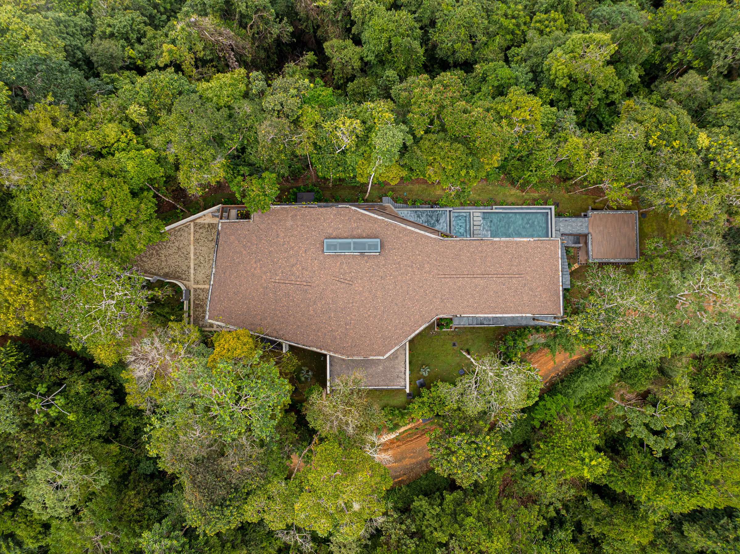 Aerial view directly above Corazón de Selva, its long timber-clad roof and lap pool threading through unbroken rainforest canopy.