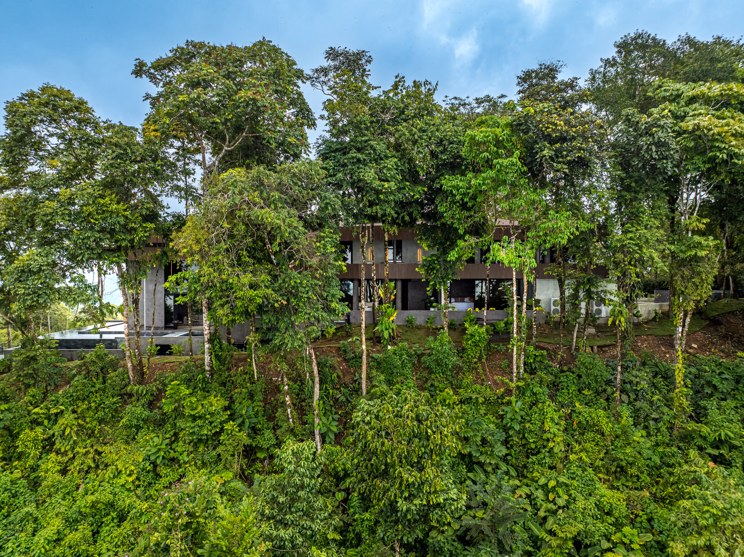 Layered rainforest immediately around the residence.