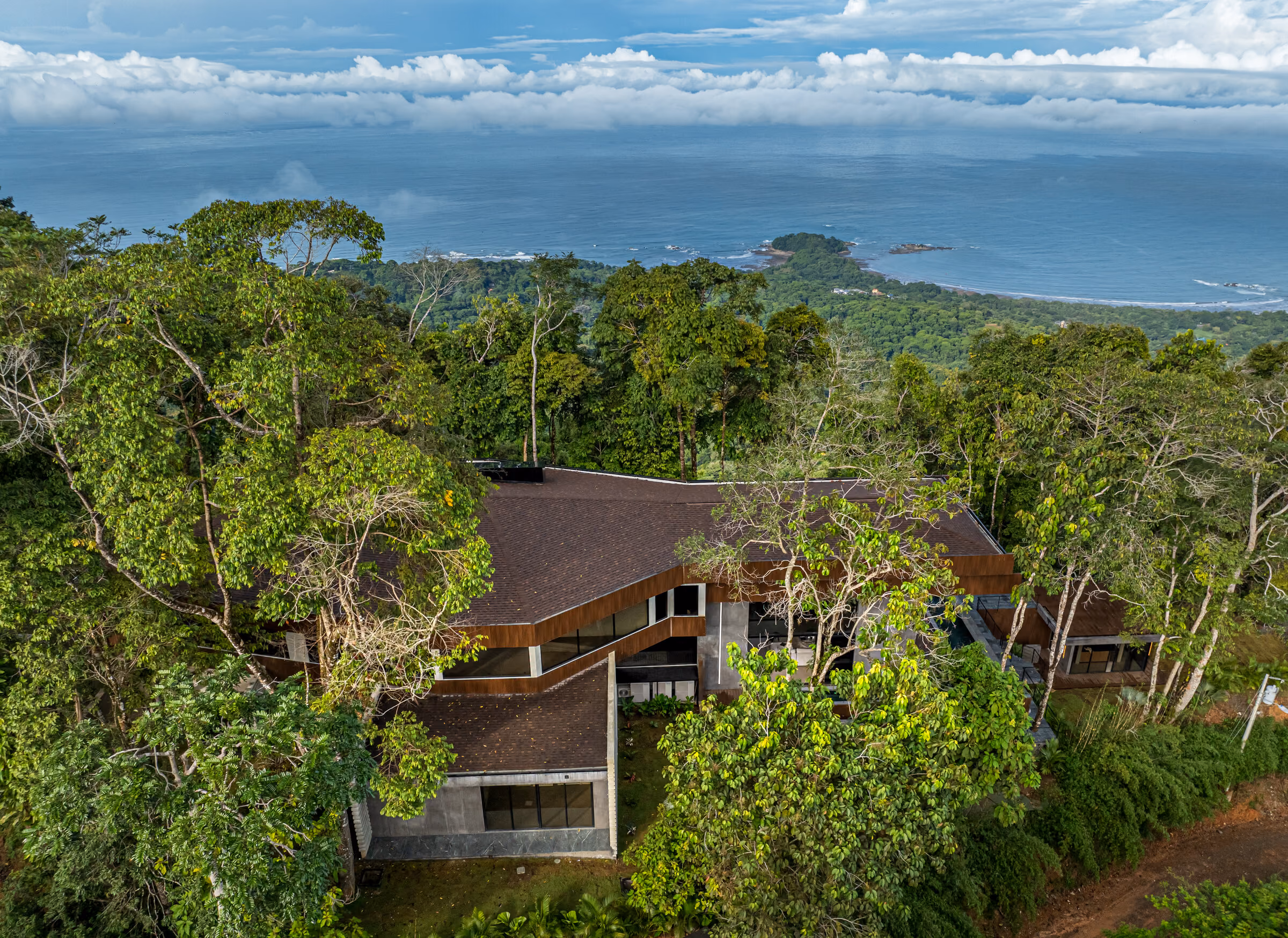 The residence within the forest canopy, distant Pacific horizon visible through a gap in the trees.