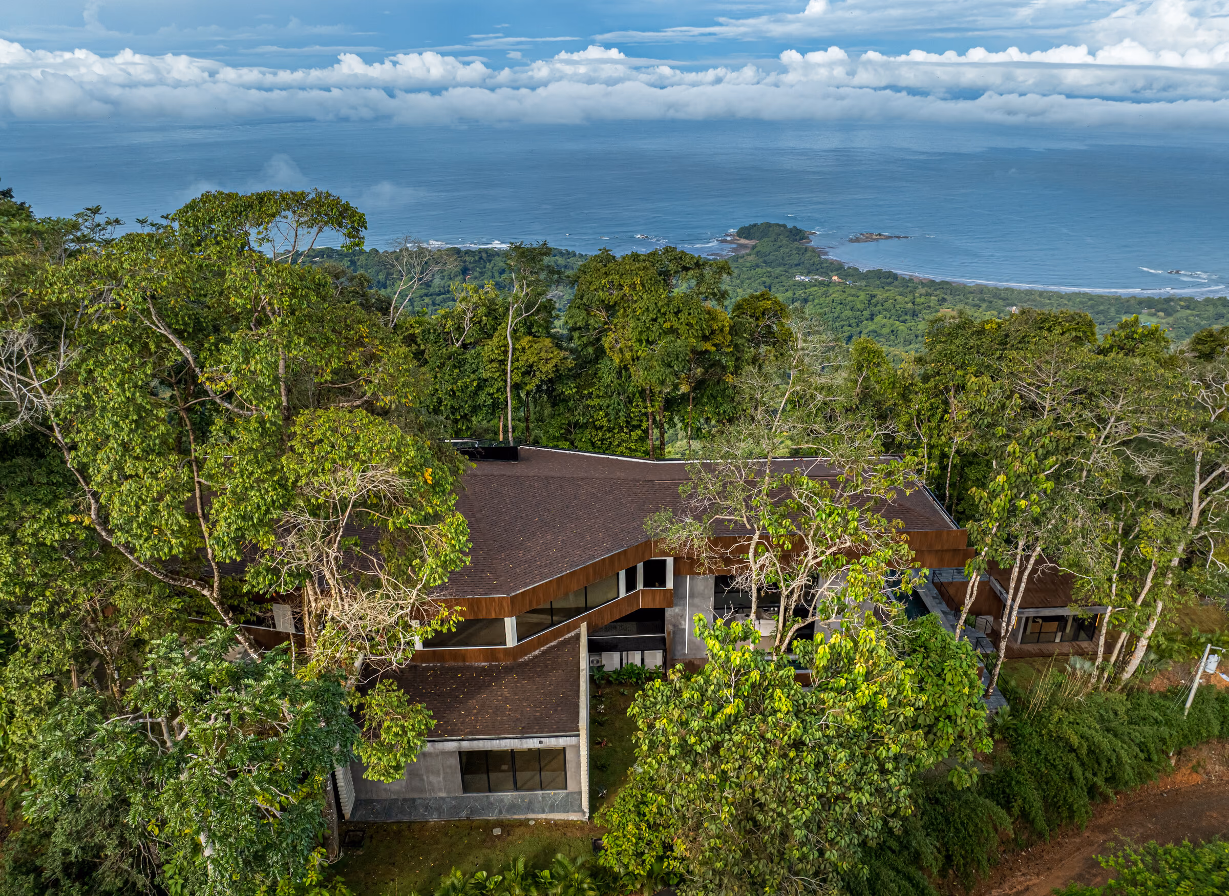 The Pacific horizon seen through a gap in the canopy from the residence.